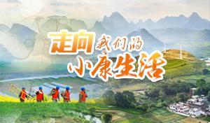 走向我们的小康生活丨种出一番新天地