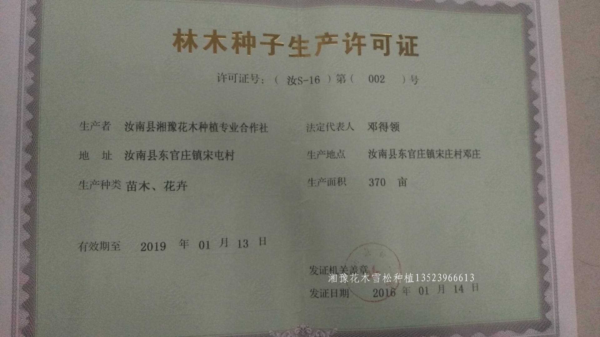 湘豫苗木营业执照核定370亩