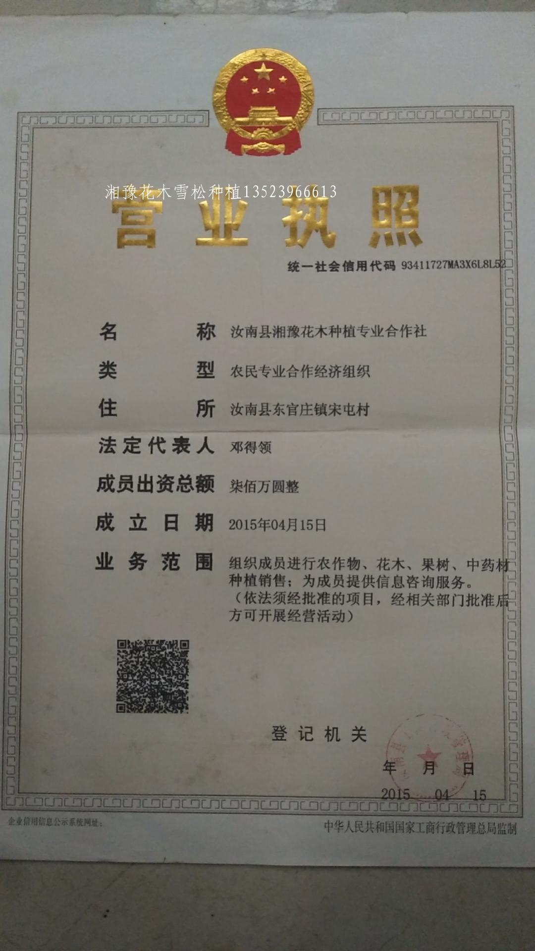 7203ab3aebb410b492e7f21535fccf5.jpg 营业执照核定300亩  雪松 七叶树 湘豫苗木营业执照核定300亩 湘豫苗木营业执照核定370亩 第2张