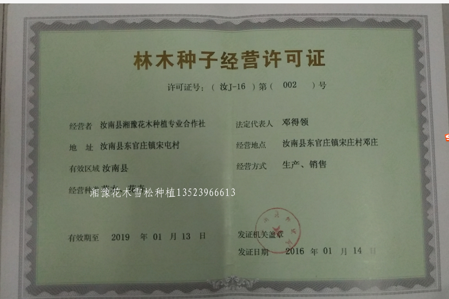 湘豫花木集团林木种子经营许可证